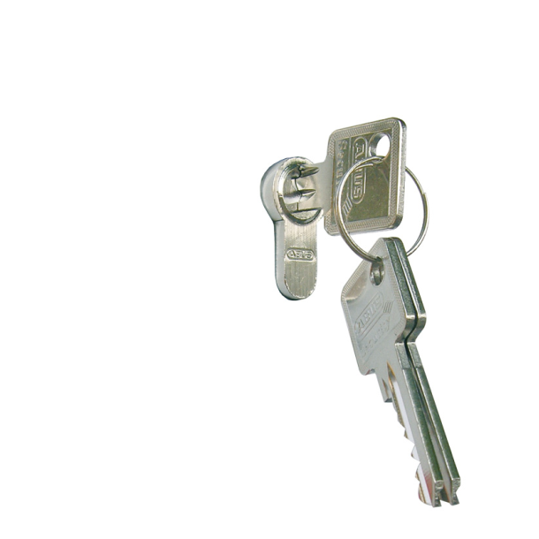Euro profile cylinder key | Master key
